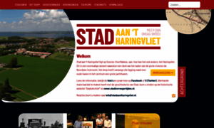 Stadaantharingvliet.nl thumbnail