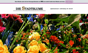 Stadtblume.com thumbnail