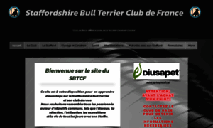 Staffordshirebullterrierclubdefrance.com thumbnail