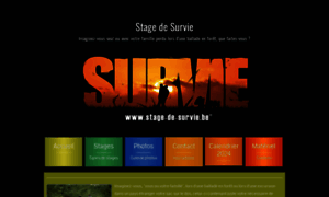 Stage-de-survie.be thumbnail