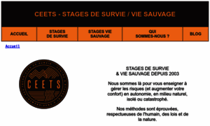 Stages-survie-ceets.org thumbnail