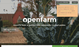 Staging.openfarm.cc thumbnail