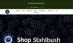 Stahlbush.com thumbnail
