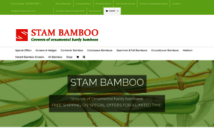 Stambamboo.com thumbnail