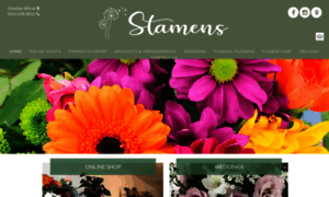 Stamensflowers.co.uk thumbnail