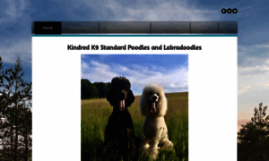 Standardpoodledog.com thumbnail