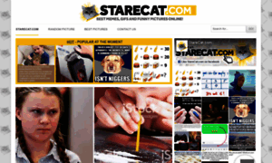 Starecat.com thumbnail