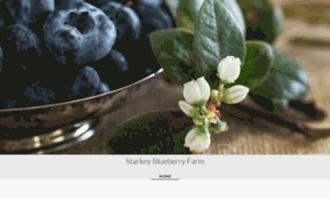 Starkeyblueberryfarm.com thumbnail