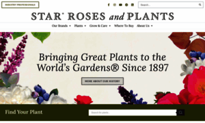 Starrosesandplants.com thumbnail