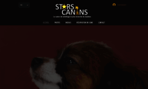 Starscanins.com thumbnail