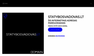 Statybosvadovas.lt thumbnail