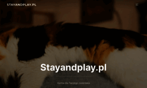 Stayandplay.pl thumbnail