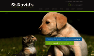 Stdavidsvetclinic.com thumbnail