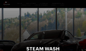 Steamwash.ch thumbnail