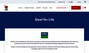 Steelforlife.org thumbnail