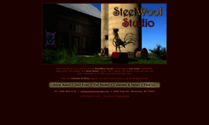 Steelwoolstudio.com thumbnail