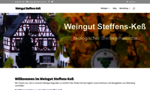 Steffens-kess.de thumbnail
