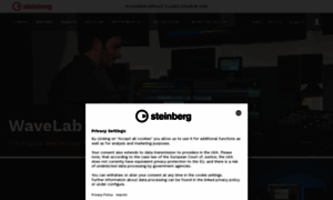 Steinberg.net thumbnail