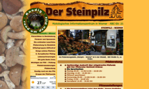 Steinpilz-wismar.de thumbnail