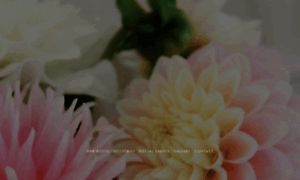 Stem-floraldesign.com thumbnail