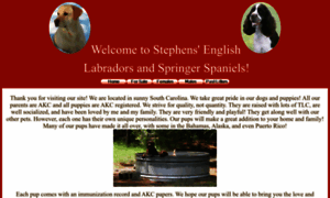 Stephens-english-labs-and-springer-spaniels.com thumbnail