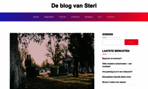 Steripoint.nl thumbnail