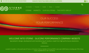 Sterne-silicone-rubber.com thumbnail