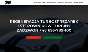 Sterownik-turbiny.pl thumbnail