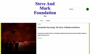 Steveandmarkfoundation.com thumbnail