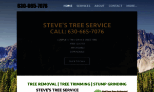 Stevestreeservicewheaton.com thumbnail