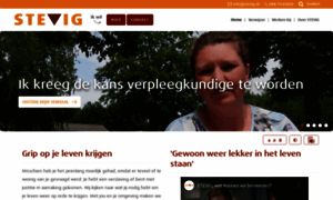 Stevig.nl thumbnail