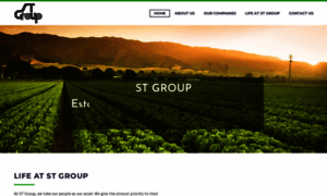 Stgroup.com.pk thumbnail