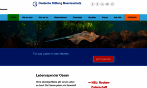 Stiftung-meeresschutz.org thumbnail