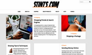 Stints.com thumbnail