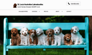 Stlouisaustralianlabradoodles.com thumbnail