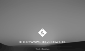 Stolz-coswig.de thumbnail