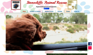 Stoneclifferescue.org thumbnail