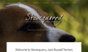 Stonequarryjackrussells.com thumbnail