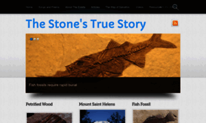 Stonestruestory.org thumbnail
