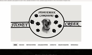 Stoneycreeklabradors.com thumbnail