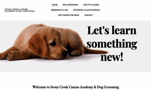 Stonycreekcanineacademy.com thumbnail