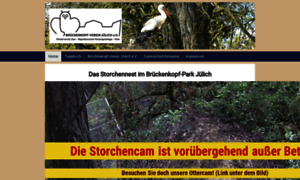 Storchen-cam.de thumbnail