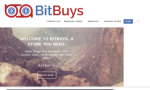 Store.bitbuys.info thumbnail
