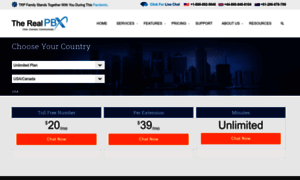 Store.therealpbx.com thumbnail