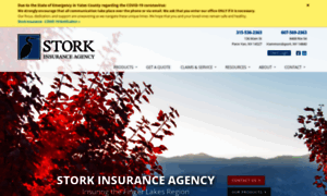 Storkinsurance.com thumbnail