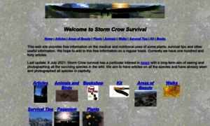 Storm-crow.co.uk thumbnail