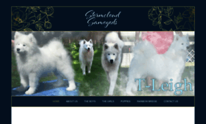 Stormcloudsamoyeds.com thumbnail