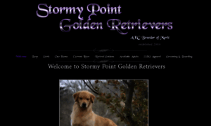 Stormypointgoldens.com thumbnail