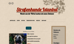 Strassenhunde-istanbul.de thumbnail