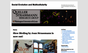 Strassmannandquellerlab.wordpress.com thumbnail